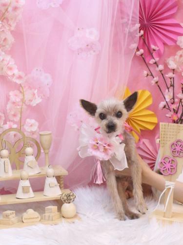 20250325ふみちゃん